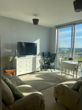 Apartment 7